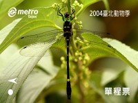 「2004臺北動物季」保育動物單程車票-耀沂弓蜓