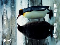 「2004臺北動物季」保育動物單程車票-企鵝