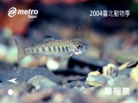 「2004臺北動物季」保育動物單程車票-櫻花鉤吻鮭