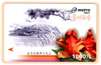2003年台北花季系列-金毛杜鵑與大屯山